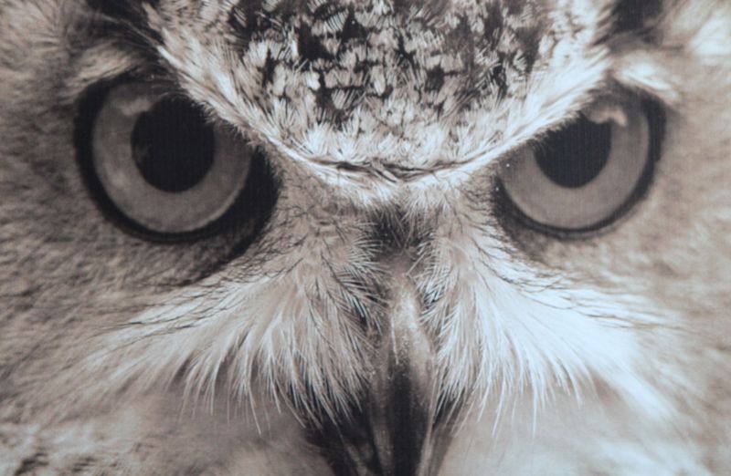 OWL 007Kaarten